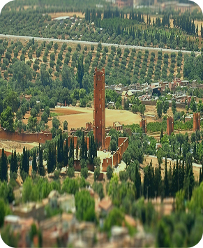 JIL SIYAHA